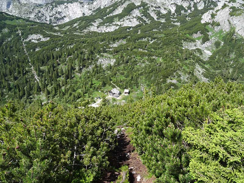 Buchbergkogel